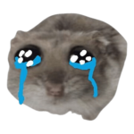 sad hamster drip course video message